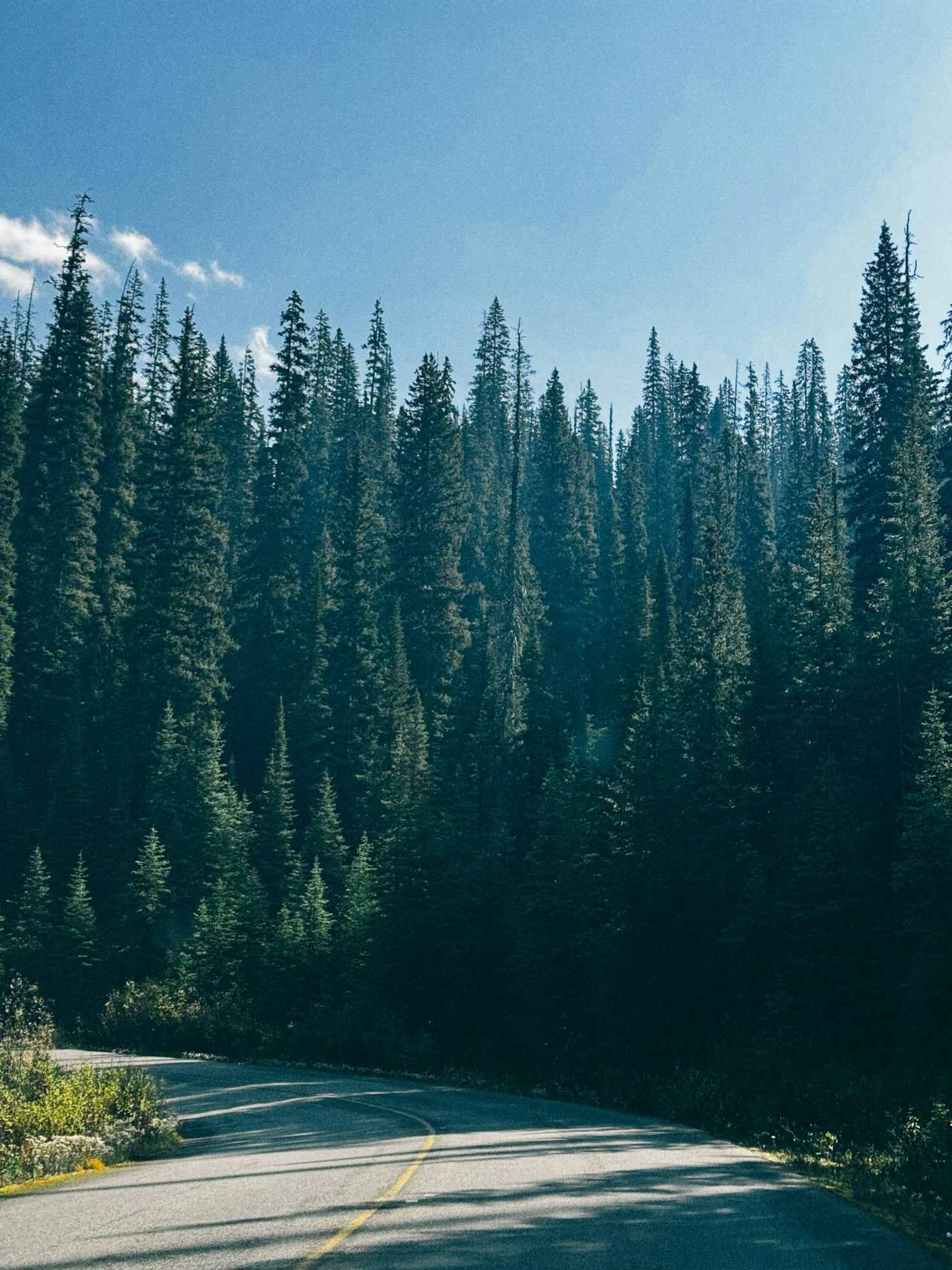 Wie uns Wandern zu mehr Achtsamkeit verhilft